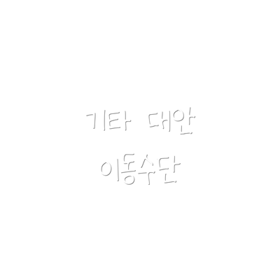 기타 대안 이동수단