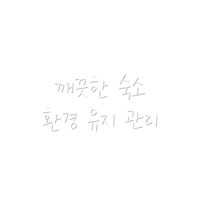 깨끗한 숙소 환경 유지 관리