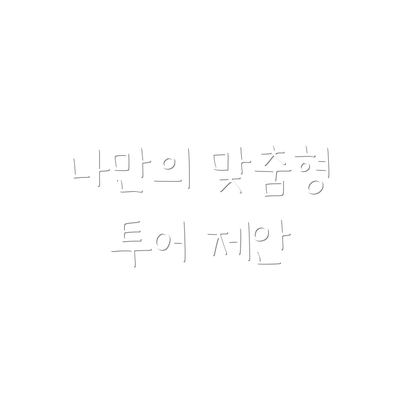 나만의 맞춤형 투어 제안