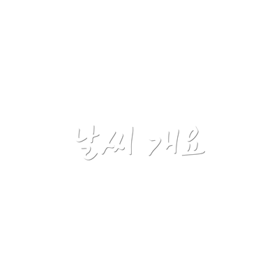 날씨 개요