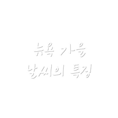 뉴욕 가을 날씨의 특징