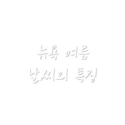 뉴욕 여름 날씨의 특징