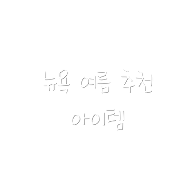 뉴욕 여름 추천 아이템