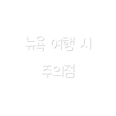 뉴욕 여행 시 주의점