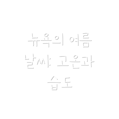 뉴욕의 여름 날씨: 고온과 습도