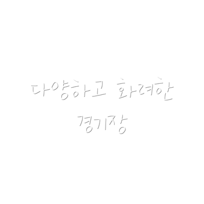 다양하고 화려한 경기장