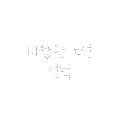 다양한 노선 선택