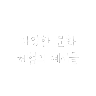 다양한 문화 체험의 예시들