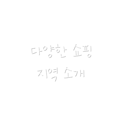다양한 쇼핑 지역 소개