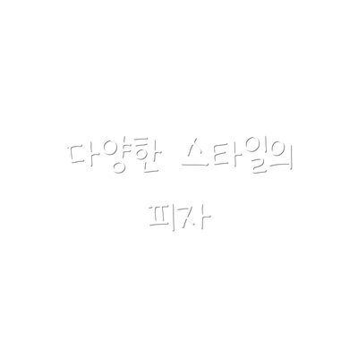 다양한 스타일의 피자