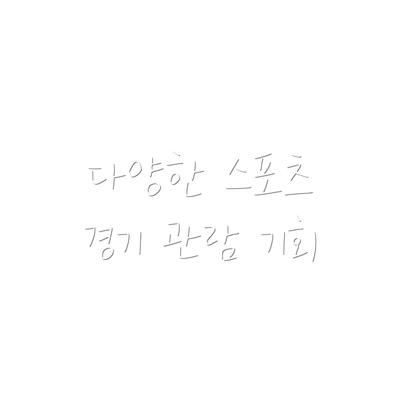 다양한 스포츠 경기 관람 기회