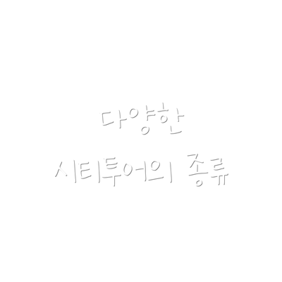 다양한 시티투어의 종류