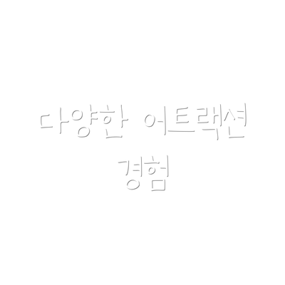 다양한 어트랙션 경험