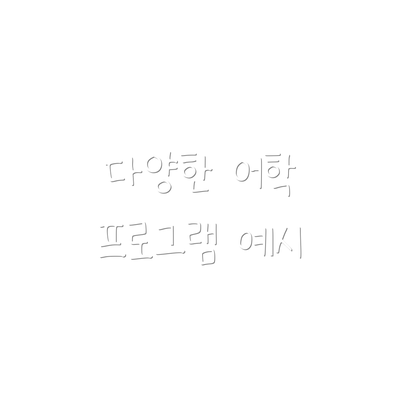 다양한 어학 프로그램 예시