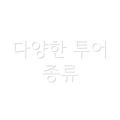 다양한 투어 종류