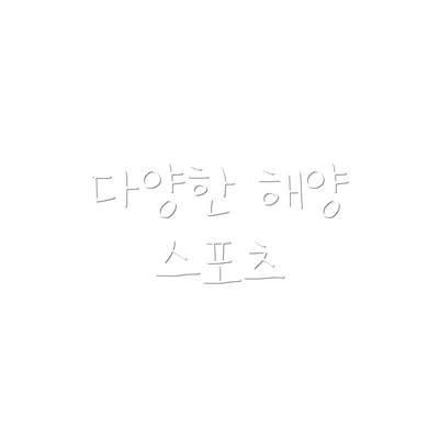 다양한 해양 스포츠
