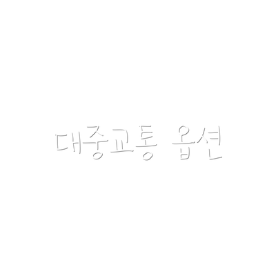 대중교통 옵션
