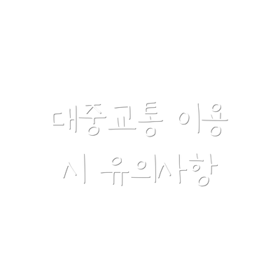 대중교통 이용 시 유의사항