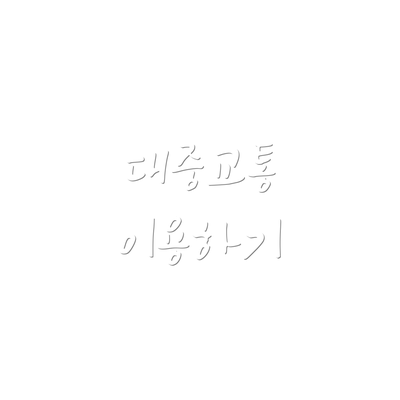 대중교통 이용하기