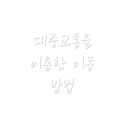 대중교통을 이용한 이동 방법