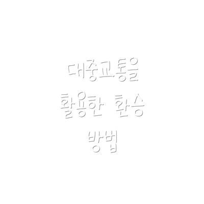대중교통을 활용한 환승 방법
