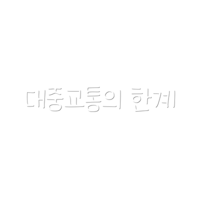 대중교통의 한계