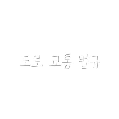 도로 교통 법규