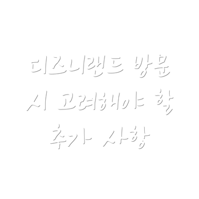 디즈니랜드 방문 시 고려해야 할 추가 사항
