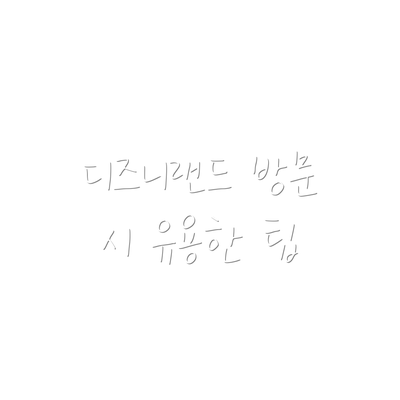 디즈니랜드 방문 시 유용한 팁