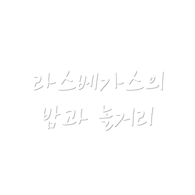 라스베가스의 밤과 놀거리
