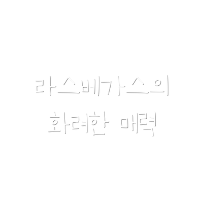 라스베가스의 화려한 매력