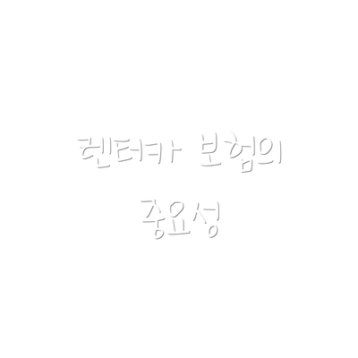 렌터카 보험의 중요성