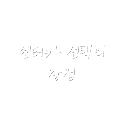 렌터카 선택의 장점