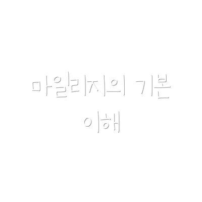 마일리지의 기본 이해