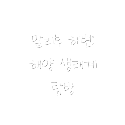 말리부 해변: 해양 생태계 탐방