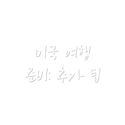 미국 여행 준비: 추가 팁