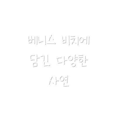 베니스 비치에 담긴 다양한 사연