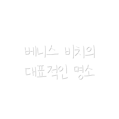 베니스 비치의 대표적인 명소
