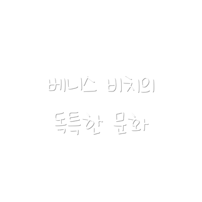 베니스 비치의 독특한 문화