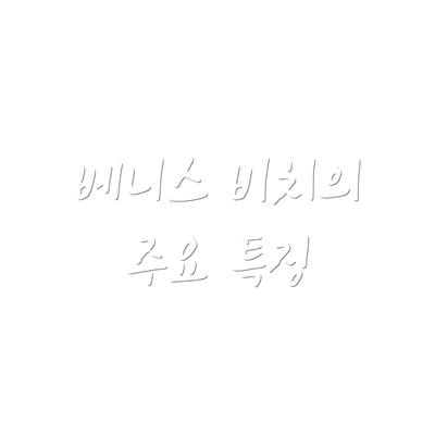 베니스 비치의 주요 특징