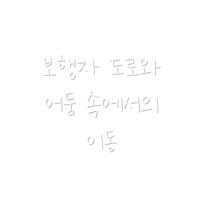 보행자 도로와 어둠 속에서의 이동