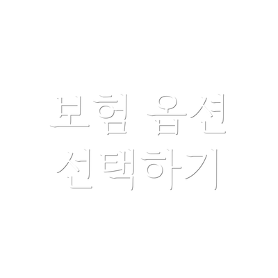 보험 옵션 선택하기