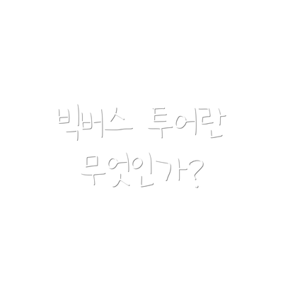 빅버스 투어란 무엇인가?