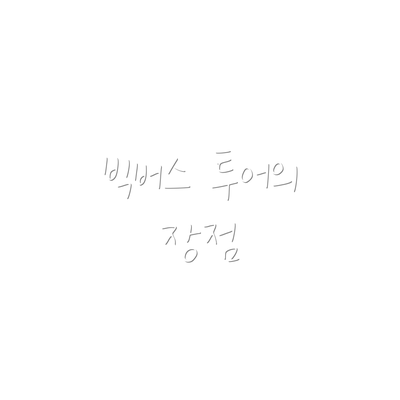 빅버스 투어의 장점