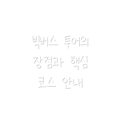 빅버스 투어의 장점과 핵심 코스 안내