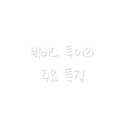 빅버스 투어의 주요 특징