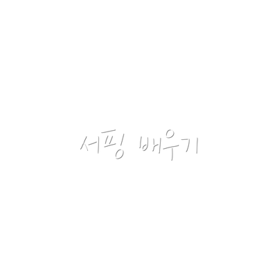 서핑 배우기