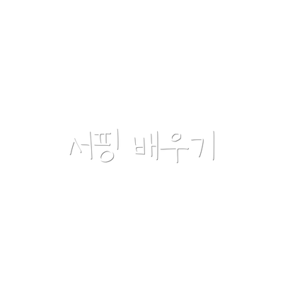 서핑 배우기