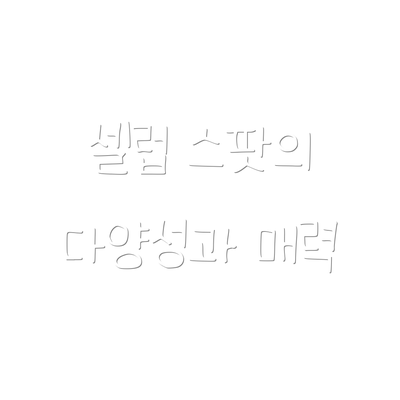 셀럽 스팟의 다양성과 매력