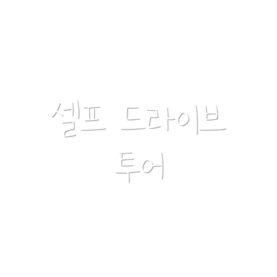 셀프 드라이브 투어